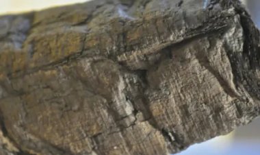 Scientists digitally "unroll" ancient scroll scorched by Mount Vesuvius