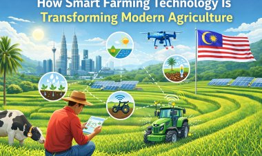 How Smart Farming Technology Is Transforming Modern Agriculture